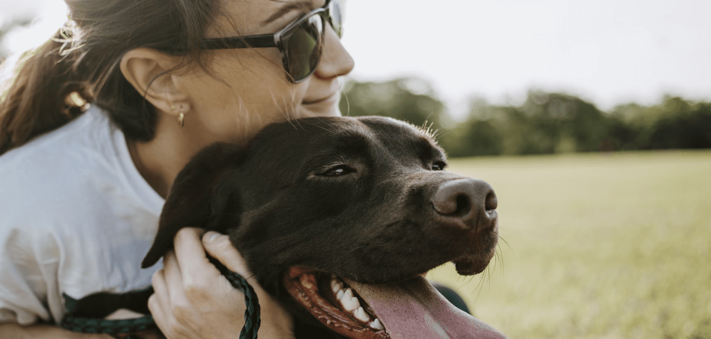 a dog and their person being happy