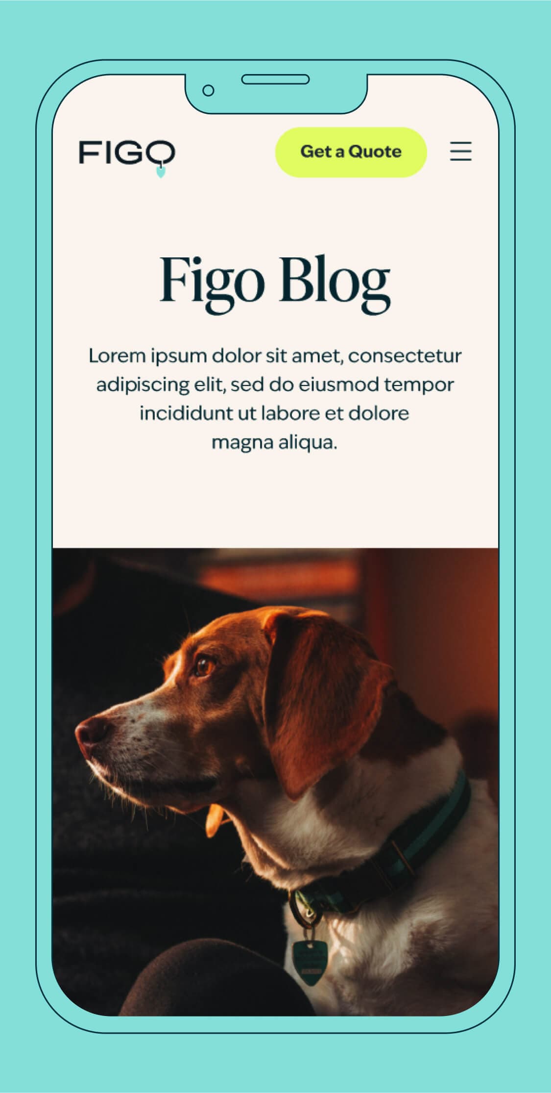 figo blog ui