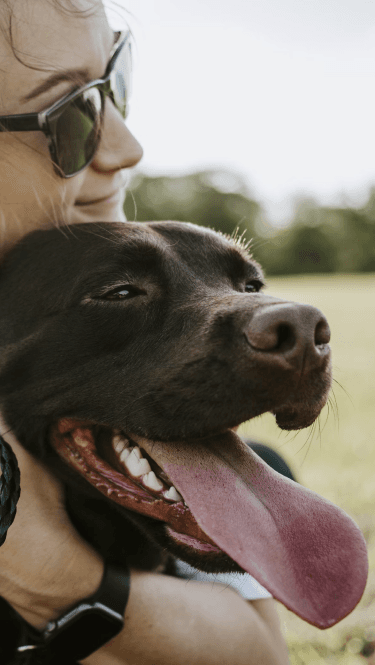 a dog and their person being happy